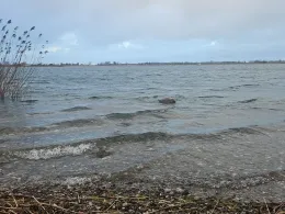 Zarrenthiner Kiessee (Jarmen)-2