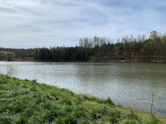 Kuhteich (Biensdorf)-4