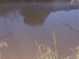 Kuhteich (Biensdorf)-3