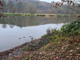 Kuhteich (Biensdorf)-1