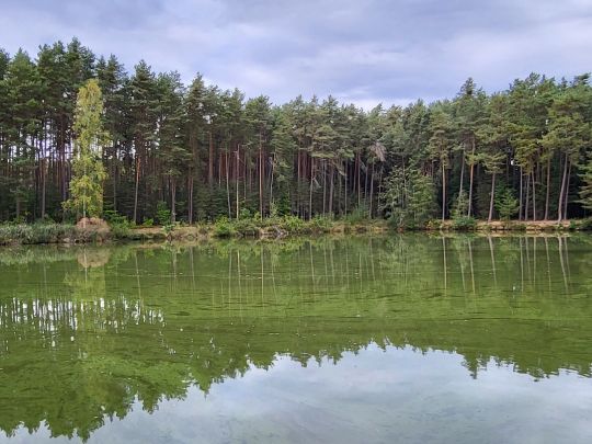 Kraus-Tröster-Weiher (Absberg)