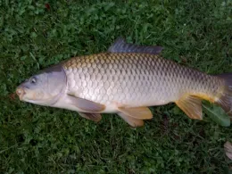 Angelpark Gierzhagener Bach-3