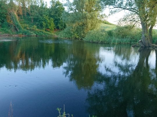 Hohendiek (Oberhagen)-0