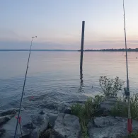 Bodensee (Friedrichshafen)