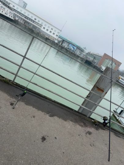 Bodensee (Friedrichshafen)-3