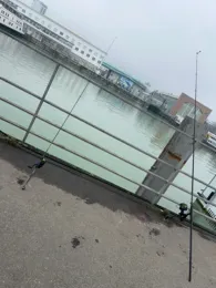 Bodensee (Friedrichshafen)-3