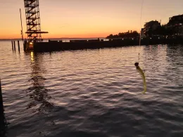 Bodensee (Friedrichshafen)-1