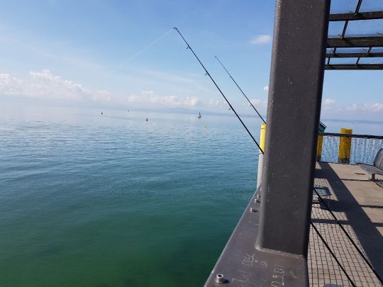 Bodensee (Friedrichshafen)-4