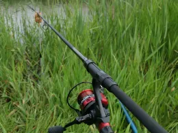 Breiter Graben (Linum)