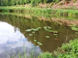 Teichanlage Brauertal-2