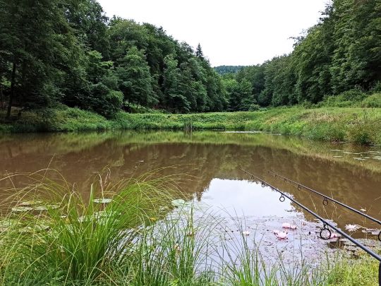 Teichanlage Brauertal-1