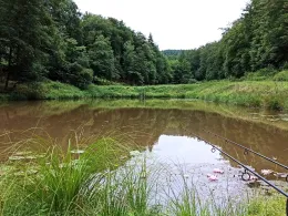 Teichanlage Brauertal-1