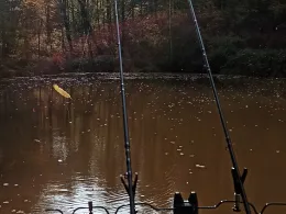 Teichanlage Brauertal-4