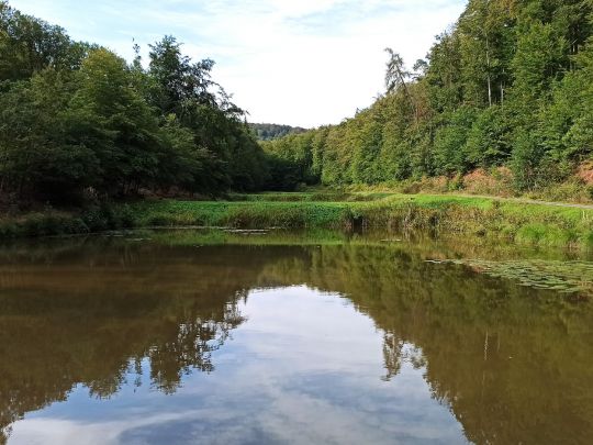 Teichanlage Brauertal-3