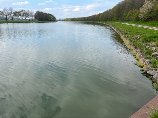 Mittellandkanal (Ostercappeln) angeln