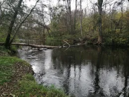 Nied (Rehlingen-Siersburg)-1