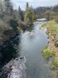 Nied (Rehlingen-Siersburg)-3