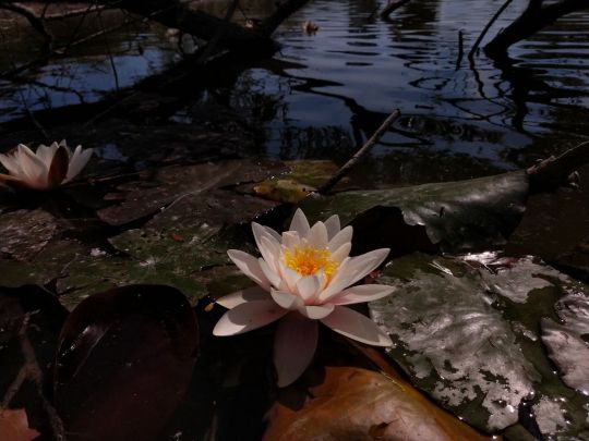 Berger Lacke (Steinhöring)-3