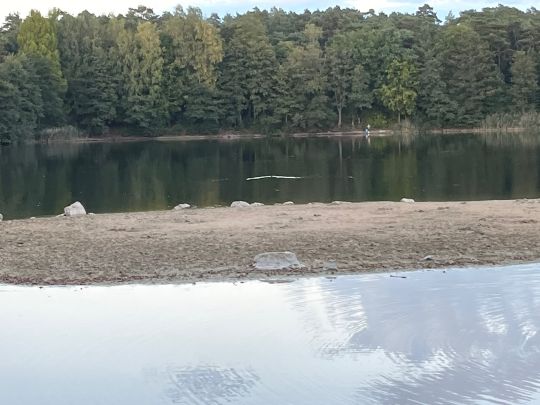 Habichtsee (Paderborn)-3