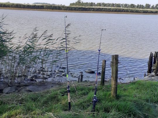 Oste (Neuhaus/Oste)-2