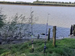 Oste (Neuhaus/Oste)-2