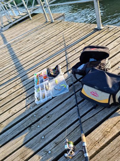 Oste (Neuhaus/Oste)-1