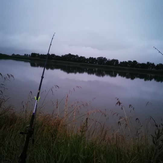 Oste (Neuhaus/Oste)-3