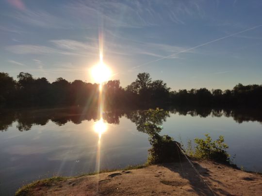 Großer Ricklinger Teich ALLE ANGELN