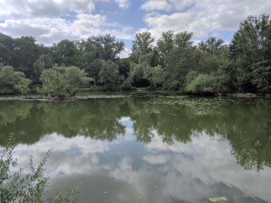 33+ Großer Ricklinger Teich, Egal ob für familien, freunde oder