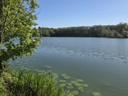 Großer Ricklinger Teich-4