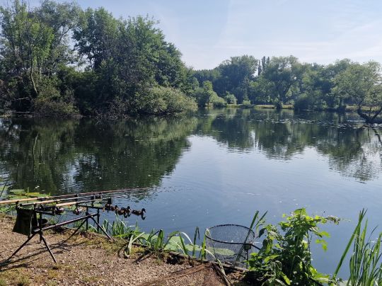 Großer Ricklinger Teich ALLE ANGELN