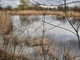 Herrenteich (Tollwitz)-2