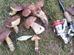 Talsperre Lehnmühle