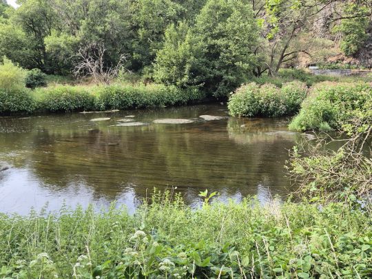 Saale (Blankenstein)-3