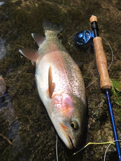 Traun (Traunstein)-2