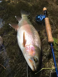 Traun (Traunstein)-2