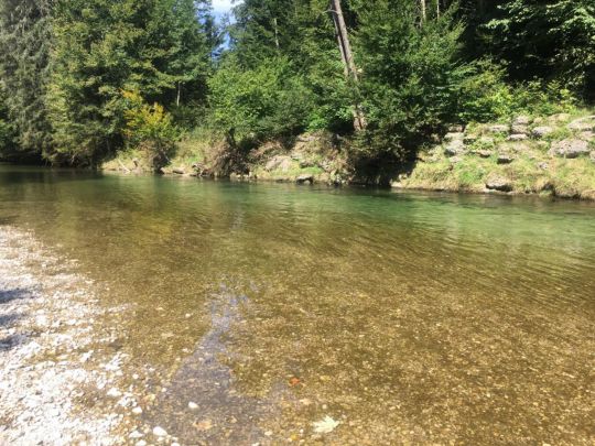 Traun (Traunstein)-1