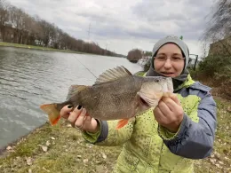 Rhein-Herne-Kanal (Oberhausen)