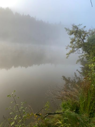 Gaugenweiher (Wört)-2