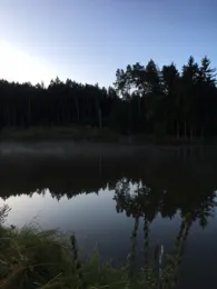 Gaugenweiher (Wört)