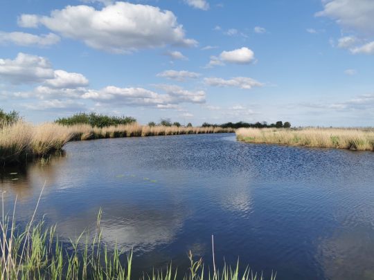 Rosenhagener Beck