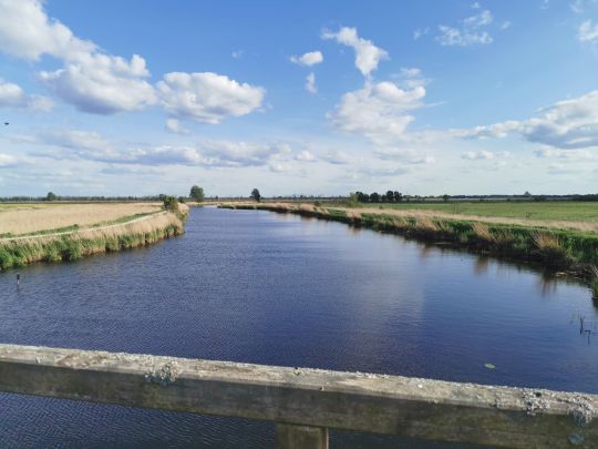 Rosenhagener Beck-4
