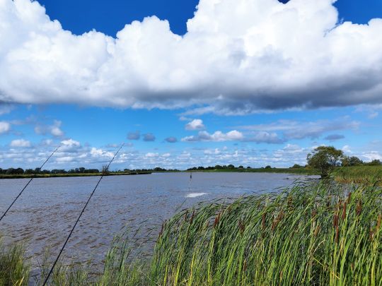 Stör (Wewelsfleth)-3