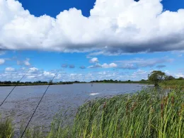 Stör (Wewelsfleth)-3