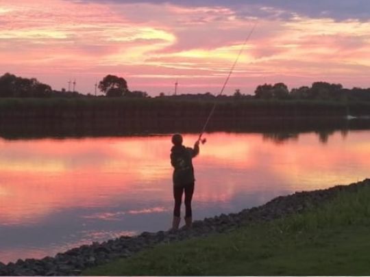 Stör (Wewelsfleth)-2