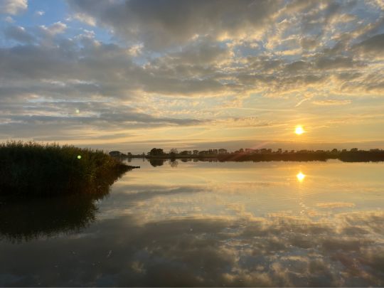 Stör (Wewelsfleth)-1