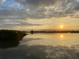 Stör (Wewelsfleth)-1