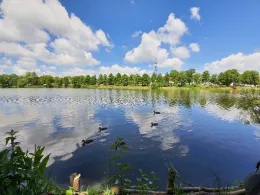 Großer Güldendorfer See-4