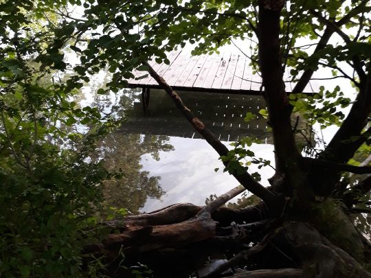 Baggersee Mittelgrund (Eggenstein-Leopoldshafen)-2