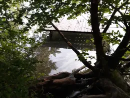 Baggersee Mittelgrund (Eggenstein-Leopoldshafen)-2